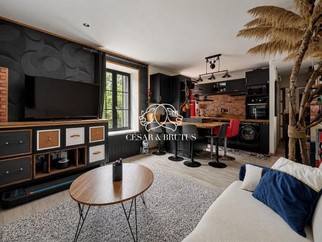 Appartement vente à Vienne, Pont-evêque