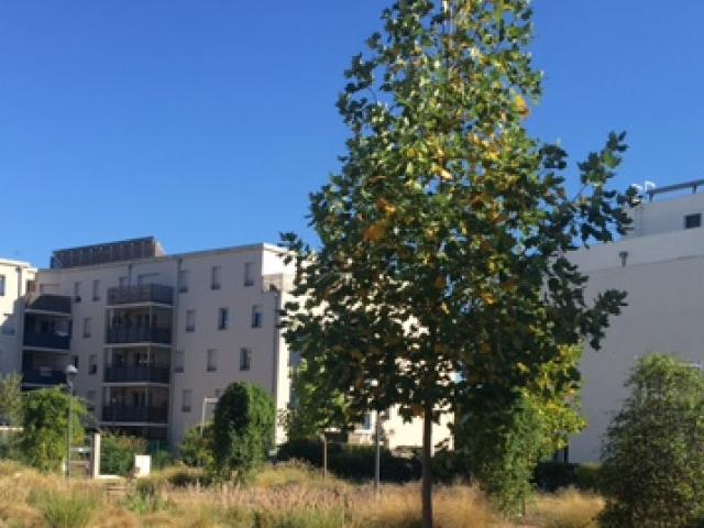 Appartement vente à Toulouse