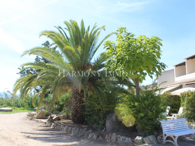 Appartement vente à Ajaccio, Vico