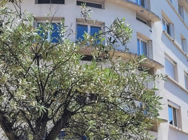 Appartement vente à Bourges