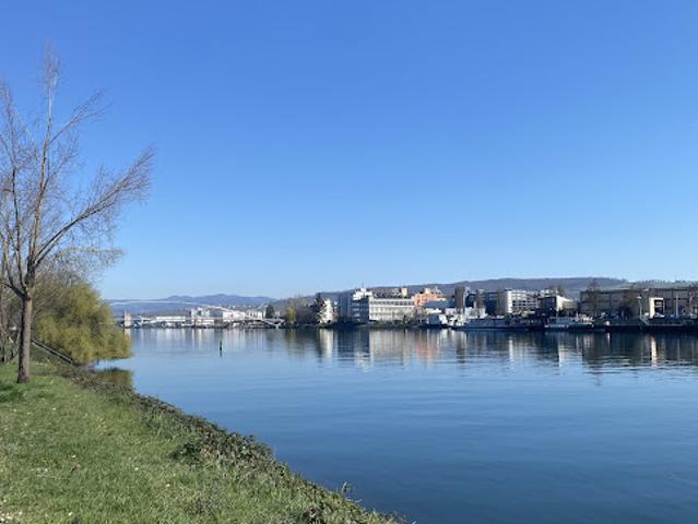 Appartement vente à Huningue, Collectivité européenne d'Alsace
