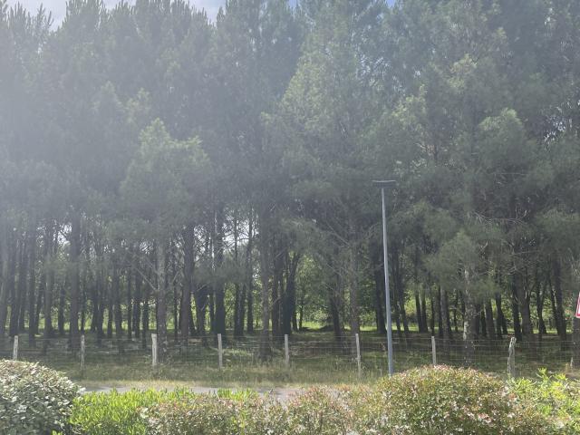 Appartement vente à France métropolitaine, Bénesse-maremne