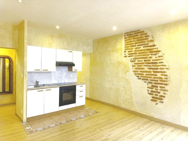 Appartement location à Albi