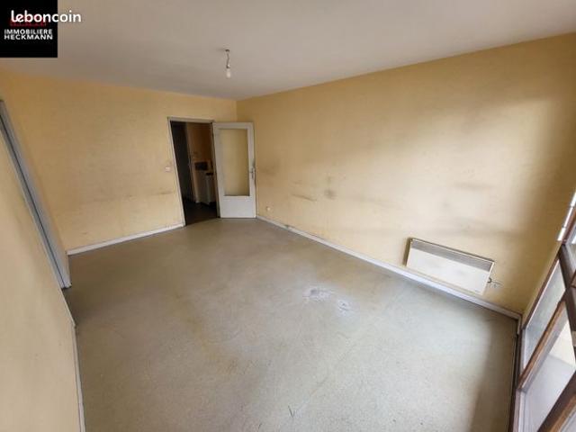 Appartement vente à Strasbourg, Hoenheim