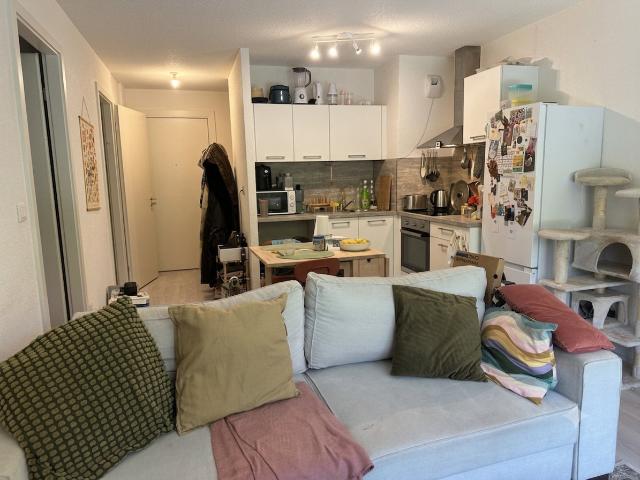 Appartement vente à Strasbourg, Hoenheim