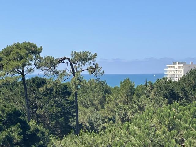 Appartement vente à Les Présidents, Les Sables-d'Olonne