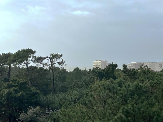 Appartement vente à Les Sables-d'Olonne, Château-d'olonne