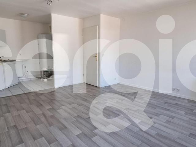 Appartement location à Lille