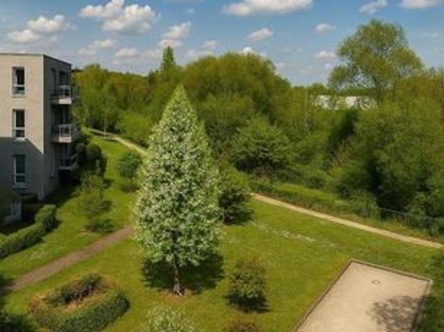 Appartement vente à Lille, Wasquehal
