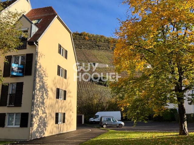 Appartement location à Thann-Guebwiller, Thann
