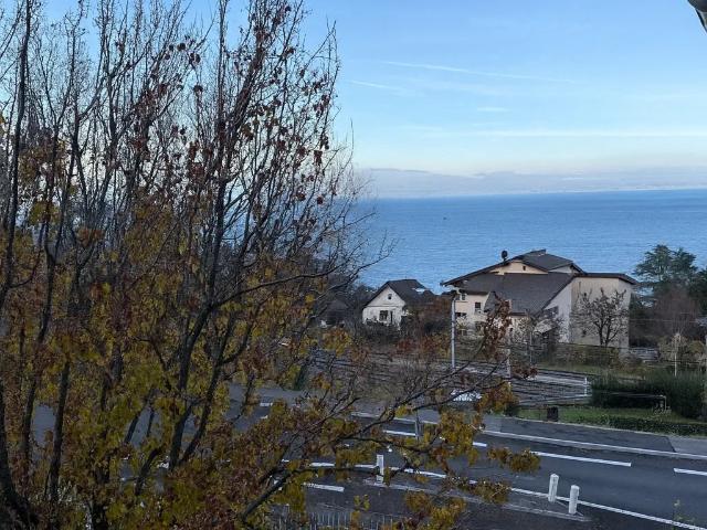 Appartement vente à Thonon-les-Bains, Evian-les-bains