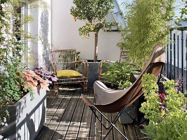 Appartement vente à Clamart, Jardin Parisien