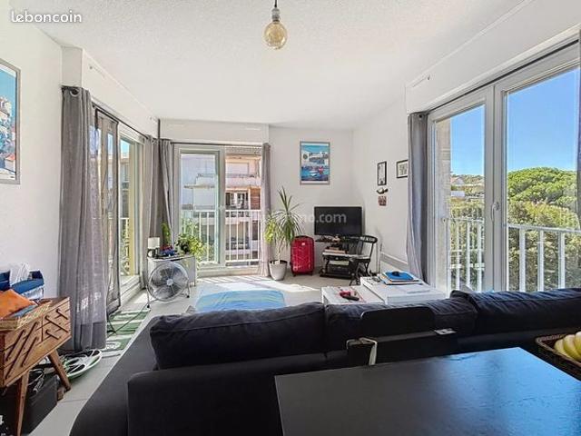 Appartement vente à Calvi