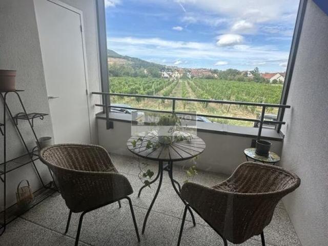 Appartement vente à Sélestat-Erstein, Barr