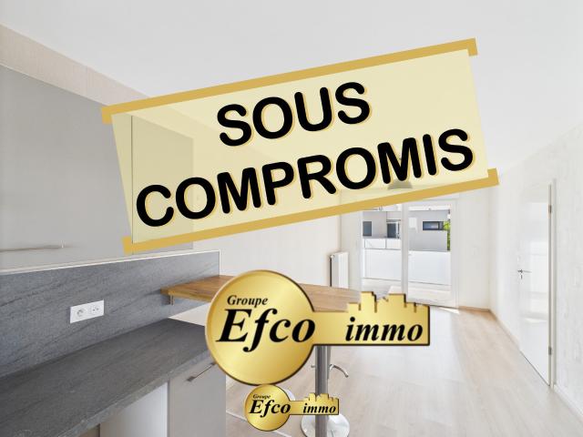 Appartement vente à Mulhouse, Saint-louis