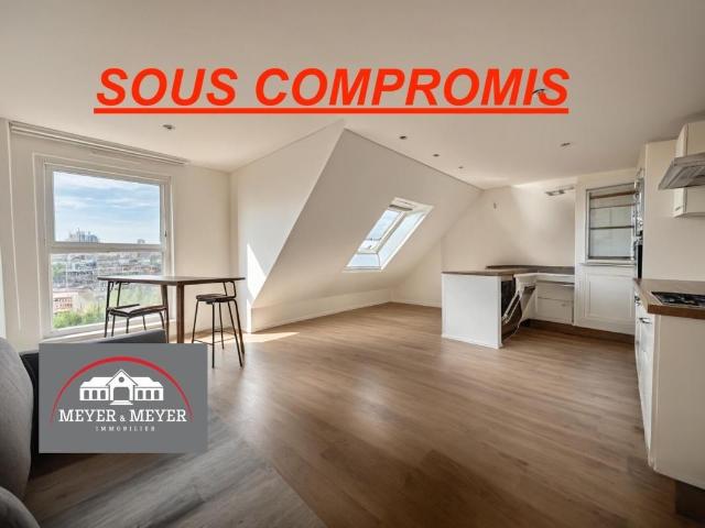 Appartement vente à Sélestat-Erstein, Boersch