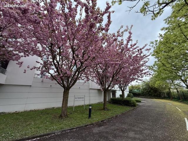 Appartement vente à Strasbourg, Hoenheim