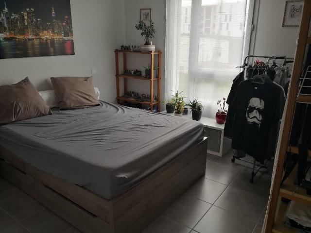 Appartement location à Toulouse, Blagnac