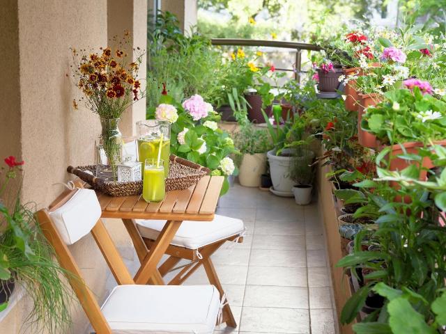 Appartement vente à Le Raincy, Neuilly-plaisance