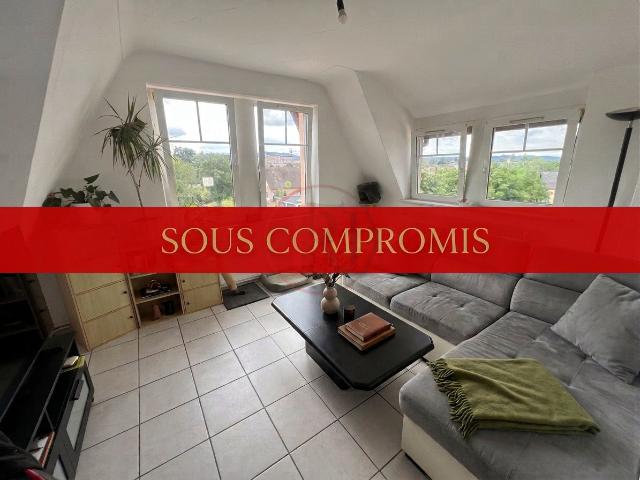 Appartement vente à Mulhouse, Wittenheim