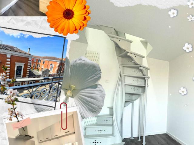 Appartement location à Montauban