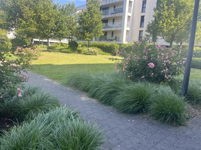 Appartement vente à Lille, Roubaix