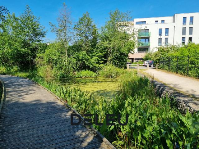 Appartement vente à Lille, Wambrechies