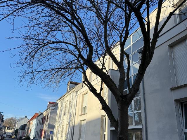 Appartement vente à Mulhouse