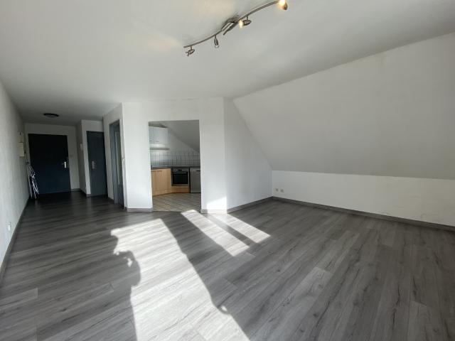 Appartement location à Mulhouse, Village-neuf