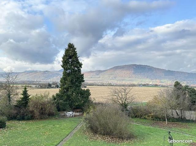 Appartement vente à Sélestat-Erstein, Sélestat