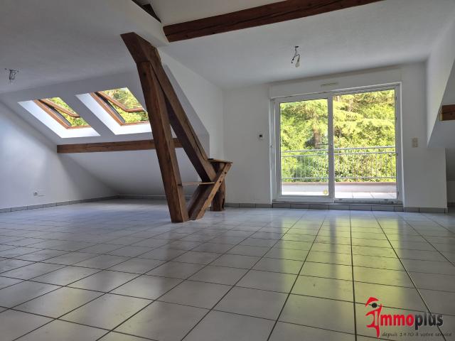 Appartement location à Mulhouse, Kappelen