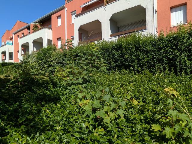 Appartement vente à Toulouse, Castanet-tolosan