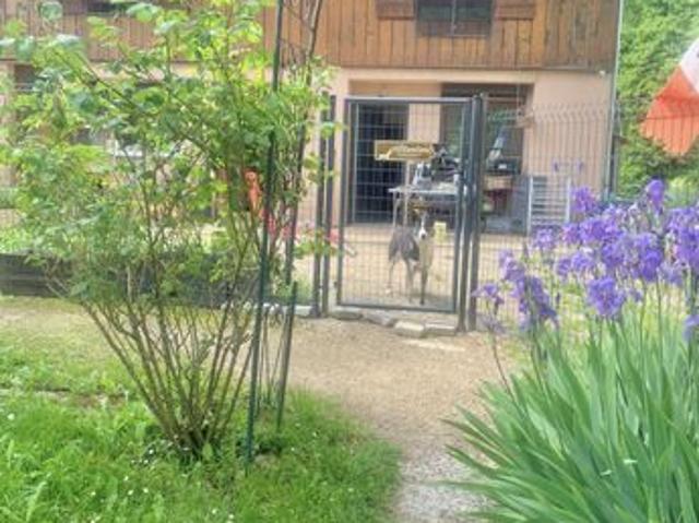 Appartement vente à Usinens
