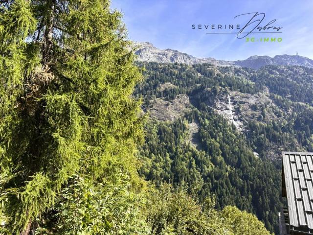 Appartement vente à Grenoble, Vaujany