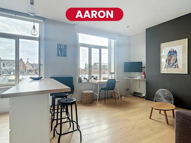 Appartement vente à Lille