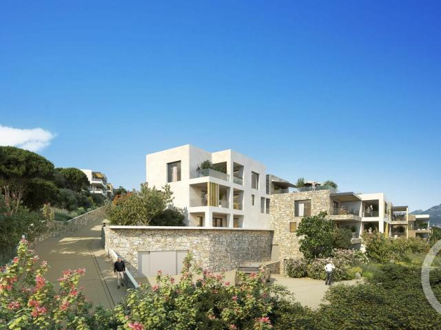 Appartement vente à Calvi