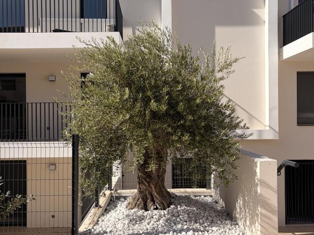 Appartement location à Marseille, Aubagne