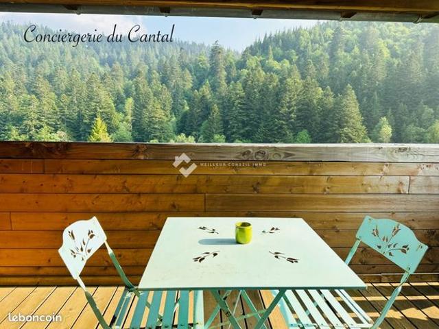 Appartement vente à Saint-Flour, Laveissière