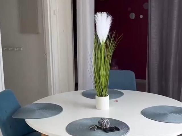 Appartement vente à La Réunion