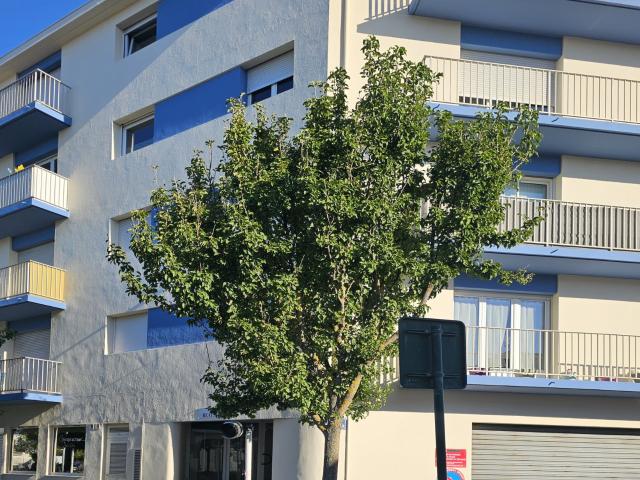 Appartement vente à Les Sables-d'Olonne
