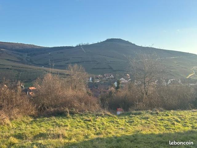 Appartement vente à Thann-Guebwiller, Soultzmatt