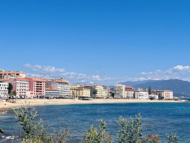 Appartement vente à Ajaccio