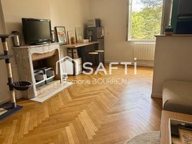 Appartement vente à Tours, Savonnières