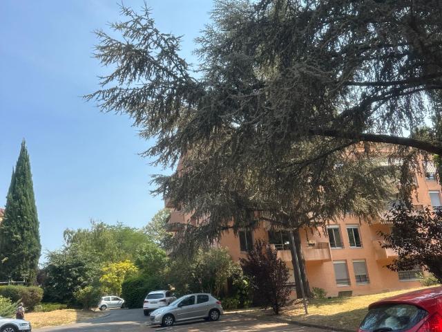 Appartement location à Toulouse
