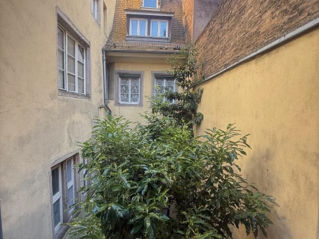Appartement vente à Strasbourg, Hoenheim