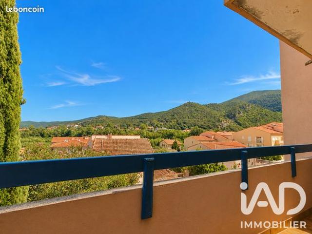 Appartement vente à Céret, Amélie-les-bains-palalda