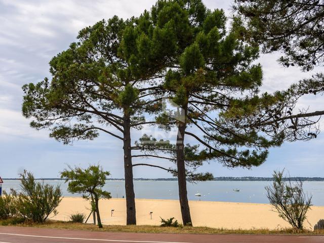 Appartement vente à Arcachon