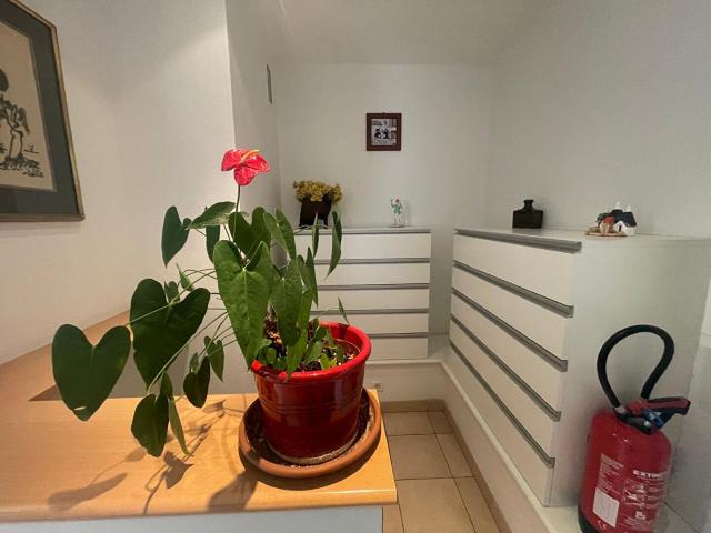 Appartement vente à Golfe-Juan, Vallauris