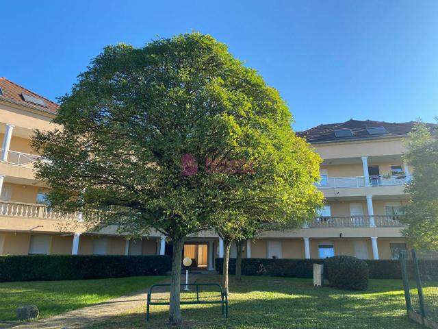 Appartement vente à Sarrebourg-Château-Salins, Dieuze