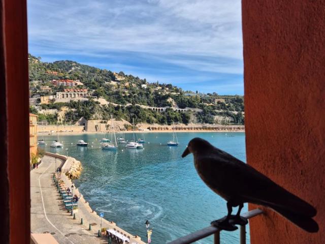 Appartement vente à Nice, Villefranche-sur-mer